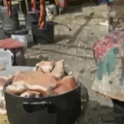 PSP apreende 63 quilos de enchidos numa estação ferroviária