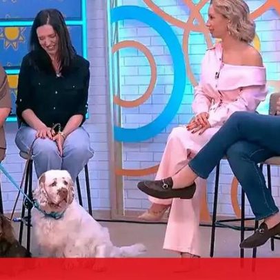 Projeto O Lado Cão da Vida é apresentado ao público