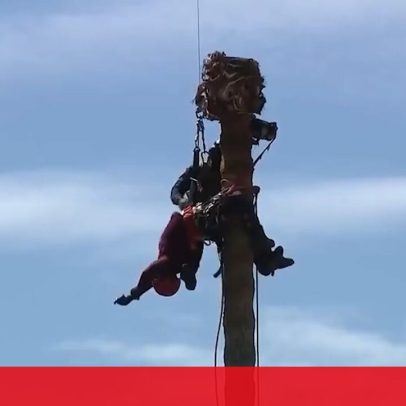 Bombeiros resgatam trabalhador em palmeira a 20 metros de altura nos EUA