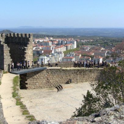 Castelo Branco investe 442 mil euros em faixas de gestão de combustível