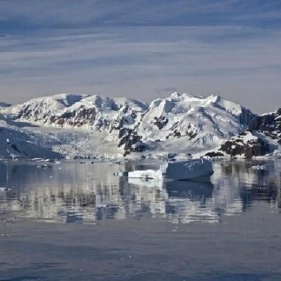 Pinguim-imperador e lobo-marinho ameaçados pela mudança climática