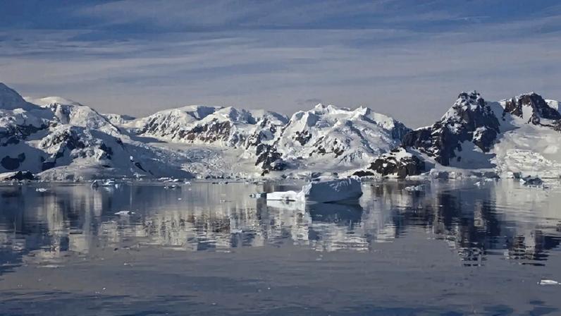 Pinguim-imperador e lobo-marinho ameaçados pela mudança climática