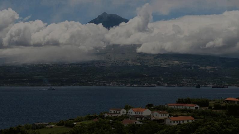 Comissão acompanha alienação da participação da Portos dos Açores em estiva