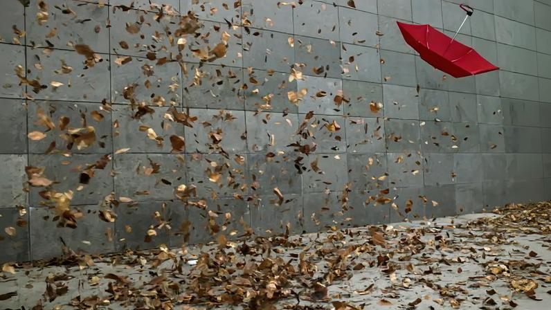 Vento extremo derruba telhados e árvores em aldeia de Vinhais