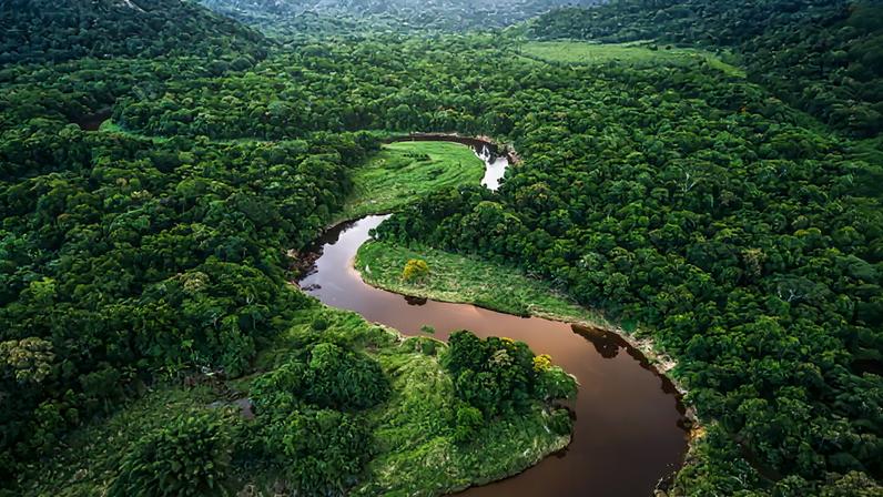 Incêndios na Amazónia brasileira aumentam 13,2% em março