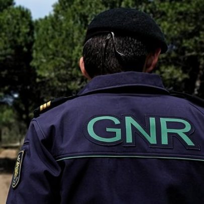 GNR detém sete pessoas e apreende mais de 240 doses de droga em Odemira