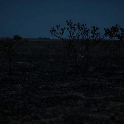Um terço das câmaras portuguesas ainda sem Plano Municipal de Ação Climática