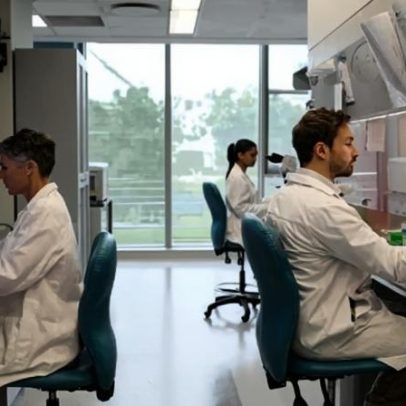 Bactéria resistente detectada em explorações de gado