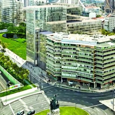 Câmara de Lisboa prevê abate de apenas dois plátanos em Entrecampos