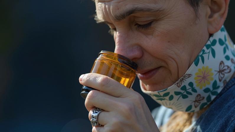 Cientistas criam o primeiro mapa do olfato