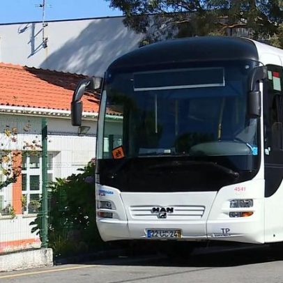 Câmara de Lisboa aprova concurso de transporte escolar por 3,1 milhões de euros