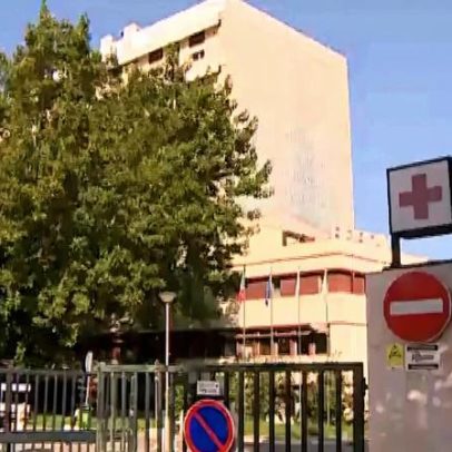 Dedo arrancado por cadela: cirurgia realizada 25 horas depois