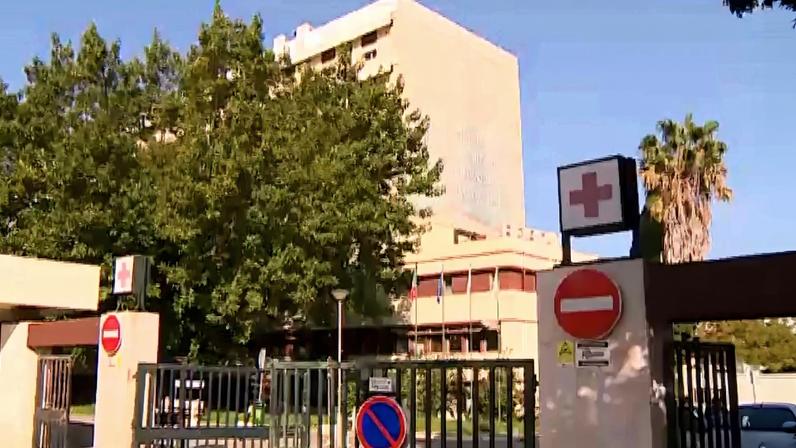 Dedo arrancado por cadela: cirurgia realizada 25 horas depois