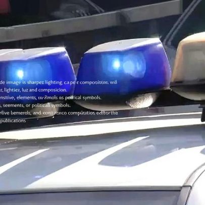 Mãe, bebé de 10 meses e adolescente morrem em queda de árvore na Alemanha