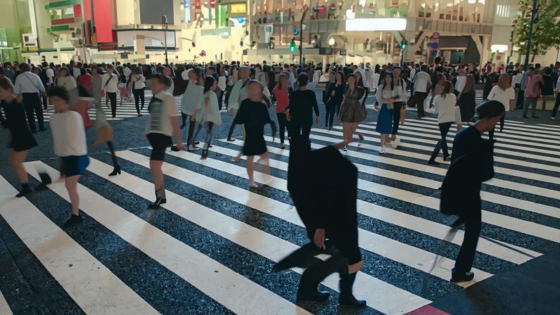 Comissão de Acompanhamento do PRR duvida que alguns problemas sejam corrigidos