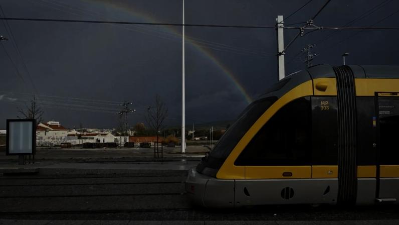 Mais de 55% deslocações no Porto são de carro; 23% usam transportes públicos