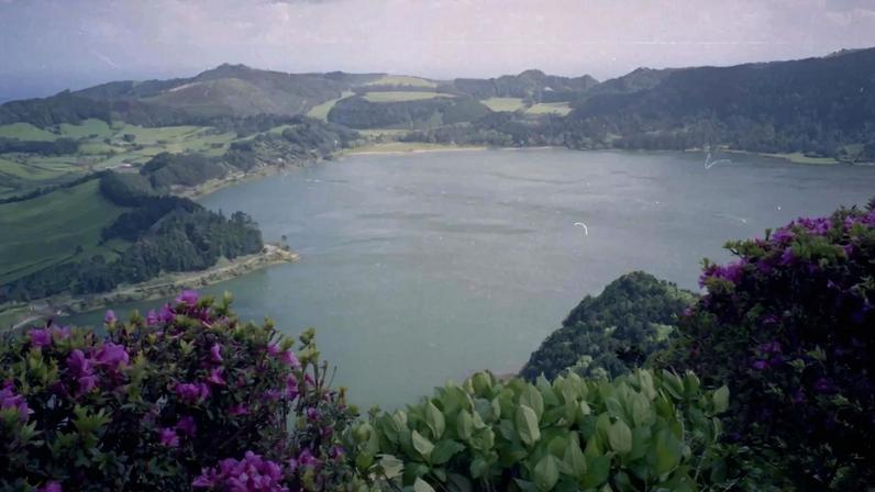 Empresários açorianos alertam para insolvências em manifesto pelo turismo