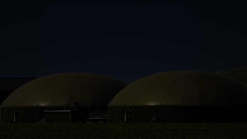 Associação Portuguesa dos Produtores de Bioenergia