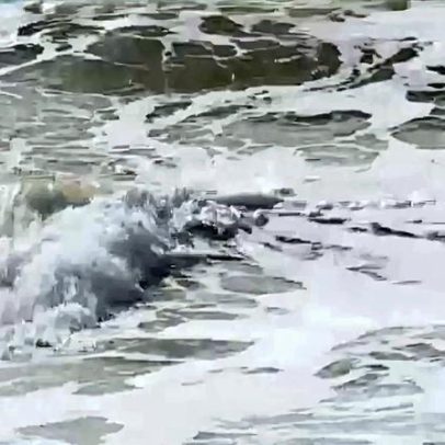 Capitania do Funchal prolonga avisos de mau tempo até quinta-feira