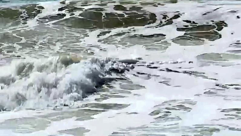 Capitania do Funchal prolonga avisos de mau tempo até quinta-feira