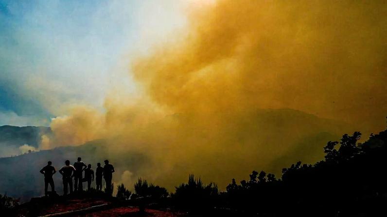 Incêndio em Ponte da Barca destrói área protegida do Parque Peneda-Gerês