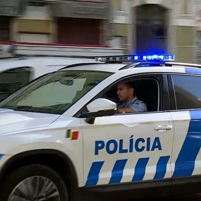 PSP apreende duas armas ilegais nos Açores e recolhe 11 entregues ao Estado