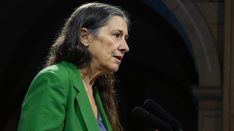 Isabel Mendes Lopes regressa à liderança da bancada do Livre no parlamento