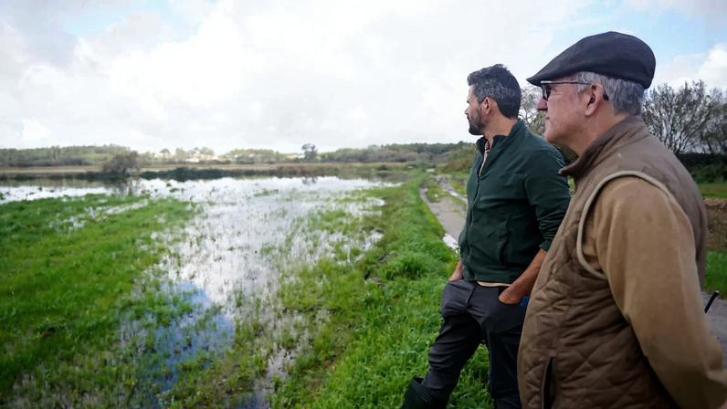 Agricultores avaliam prejuízos de 1,5 milhões de euros no Vale do Lis devido a cheias
