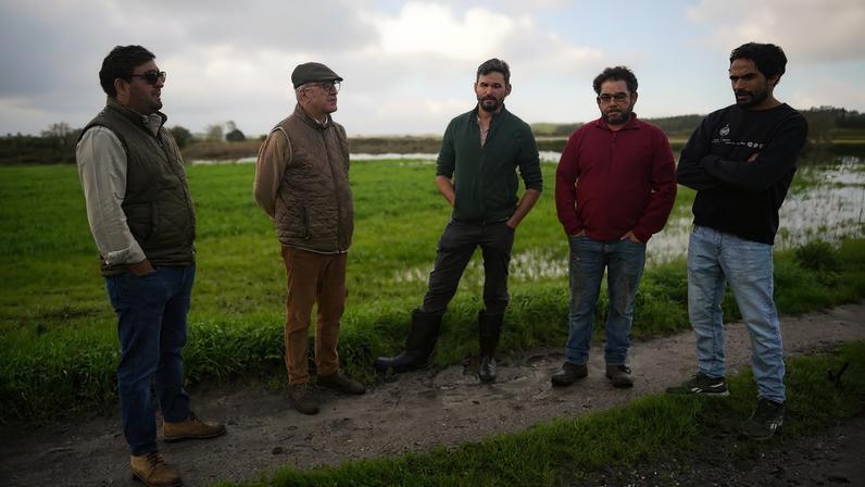 Agricultores do Vale do Lis calculam prejuízos de 1,5 milhões de euros devido à chuva