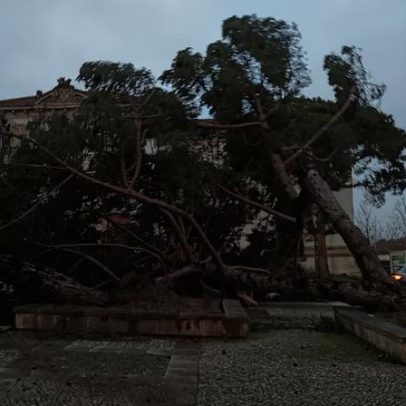 Autarcas dizem que medidas do PTRR são genéricas após mau tempo