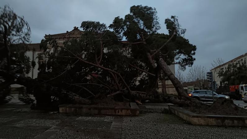 Autarcas dizem que medidas do PTRR são genéricas após mau tempo