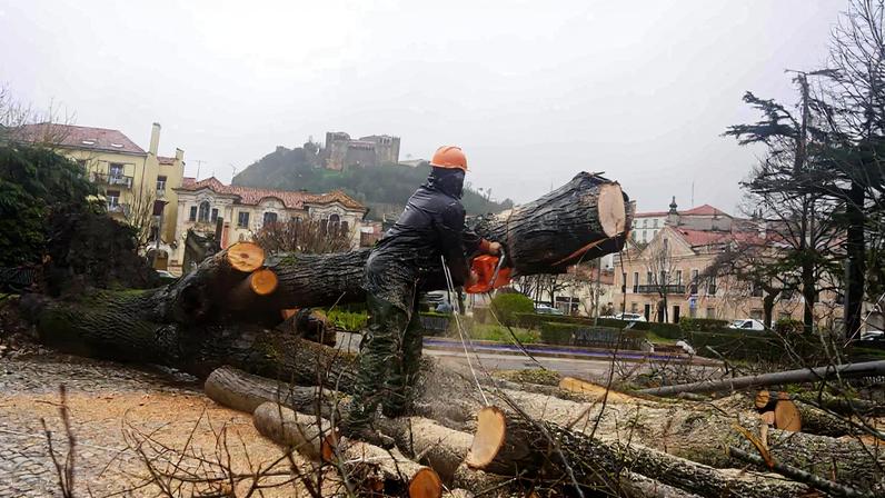 Leiria: Trabalhador corta árvore abatida após fortes estragos na cidade