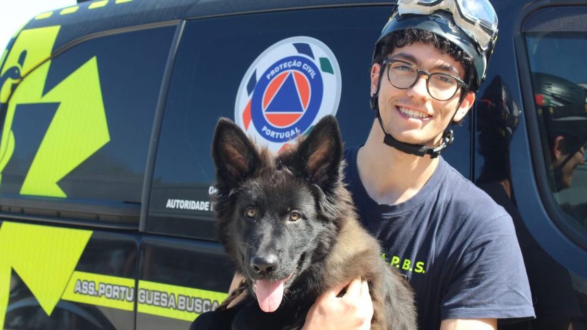 Pastor alemão Wargs reforça equipas de busca e resgate