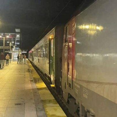 Comboio em Montemor-o-Novo enfrenta quase 4 horas de atraso devido a pássaro