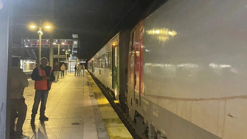 Comboio em Montemor-o-Novo enfrenta quase 4 horas de atraso devido a pássaro