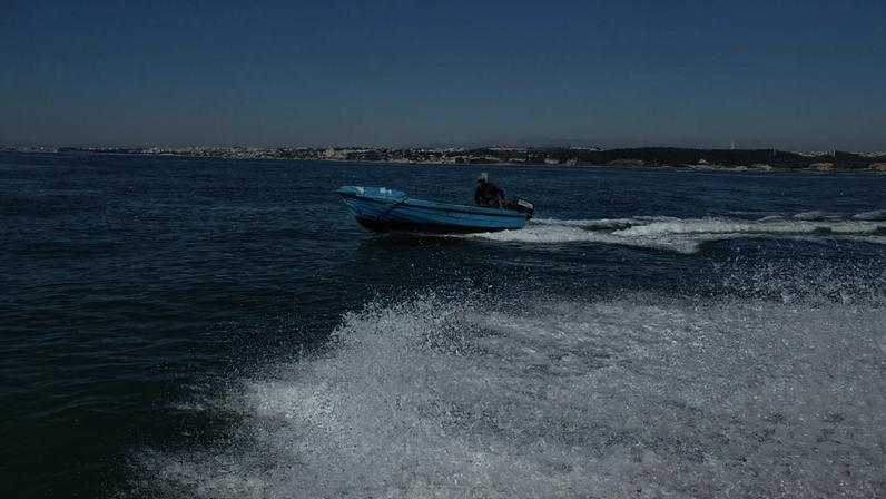 Diretor-geral diz que tem havido casos de contaminação pela ingestão de amêijoa japonesa do Tejo