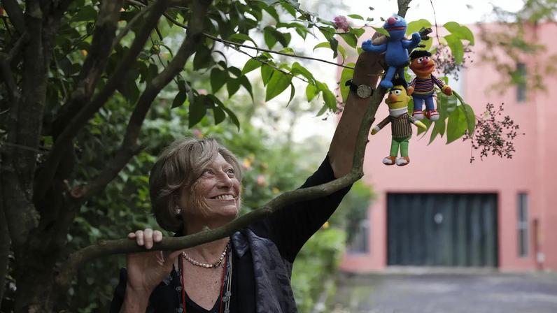 Maria Emília Brederode dos Santos, referência humanista na educação
