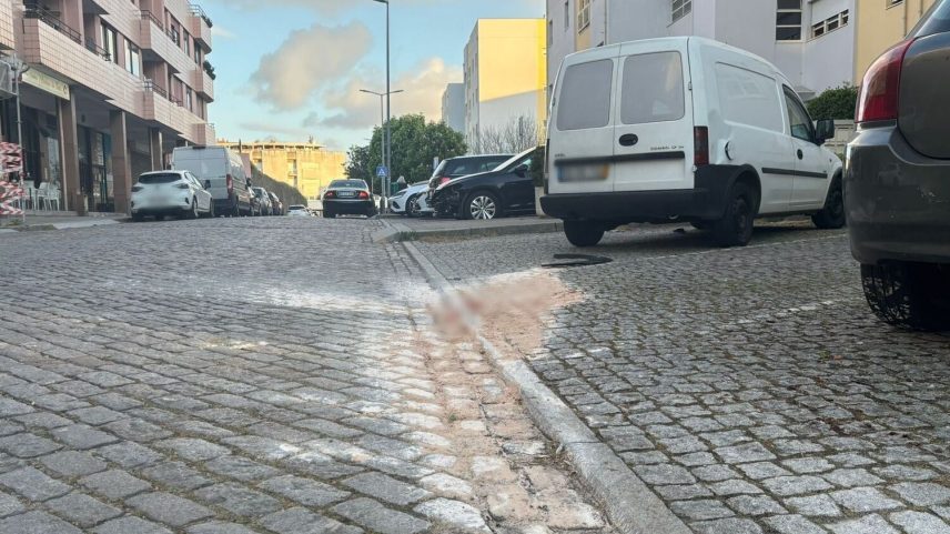 Motorista de TVDE atropela passageiros que o agrediram no Porto