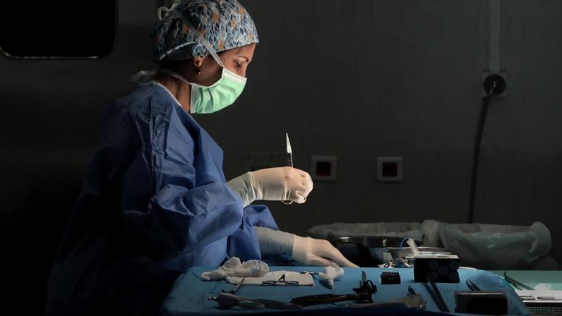 Cirrose continua a ser a principal causa de transplantes hepáticos em Portugal