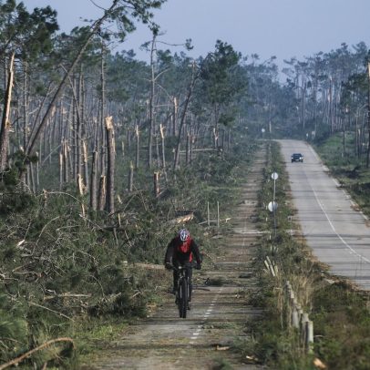 Três matas nacionais do litoral afetadas pelo mau tempo