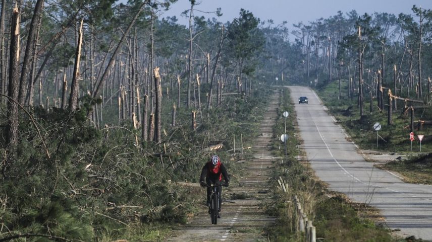 Três matas nacionais do litoral afetadas pelo mau tempo