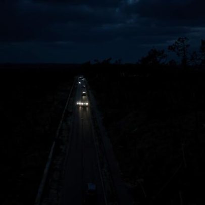 Mais de 3 mil km de caminhos florestais desobstruídos após o mau tempo