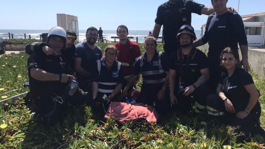 Bombeiros resgatam cão de poço de 25 metros em Leça da Palmeira