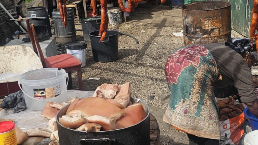 PSP apreende chouriços, torresmos e orelha de porco na estação do Cacém