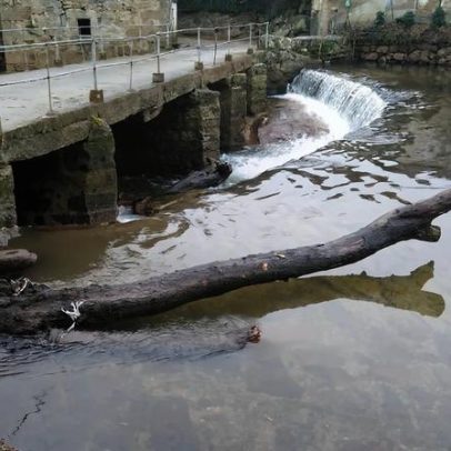 Plano de 81 milhões para recuperar o Rio Leça entra em consulta pública