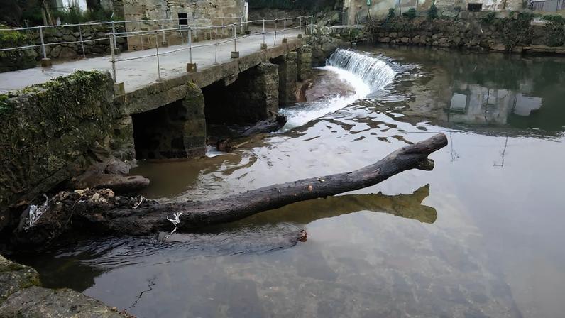 Plano de 81 milhões para recuperar o Rio Leça entra em consulta pública