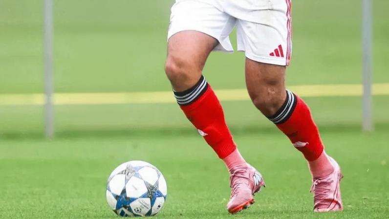 Benfica na Youth League