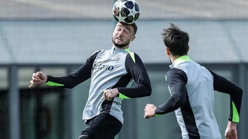 Debast para ajudar o Leão Desdobrável