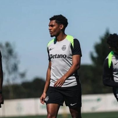 Leão sob cuidado extremo: gestão com pinças na fase crucial da temporada