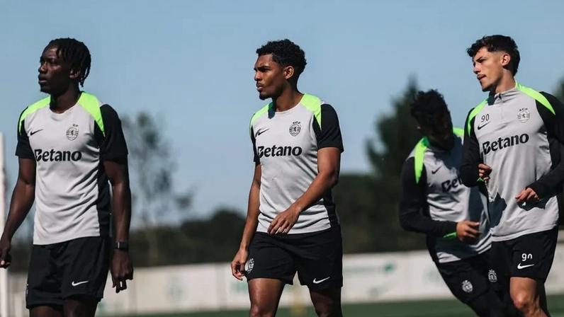 Leão sob cuidado extremo: gestão com pinças na fase crucial da temporada